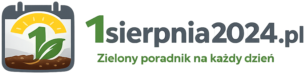 1sierpnia2024